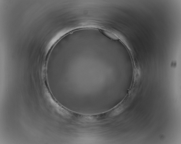 X0000114171101200910081516