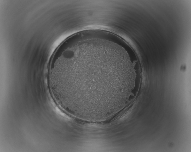 X0000114171102200910081516