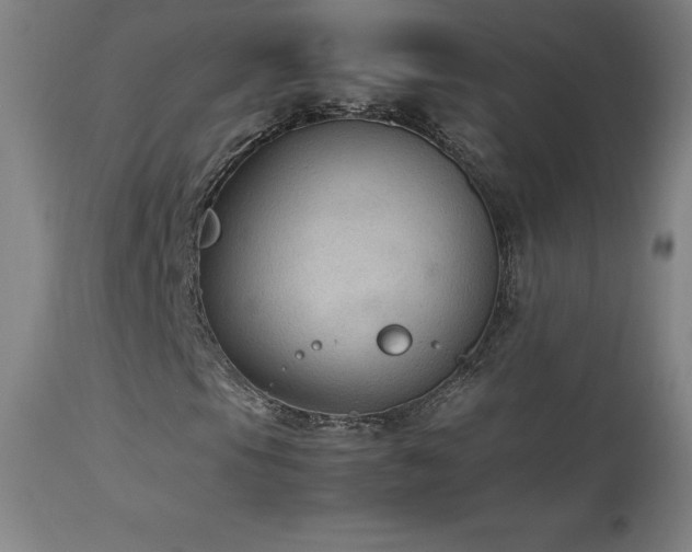 X0000114171105200910081515