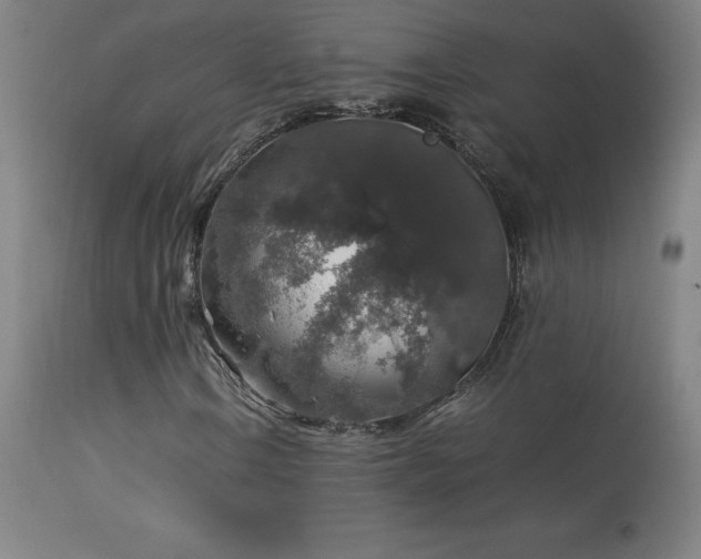 X0000114171106200910081515
