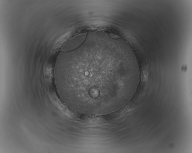 X0000114171108200910081516