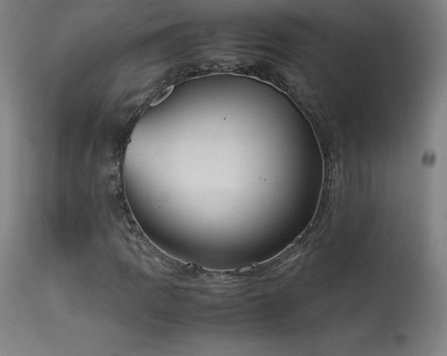X0000114171109200910081516