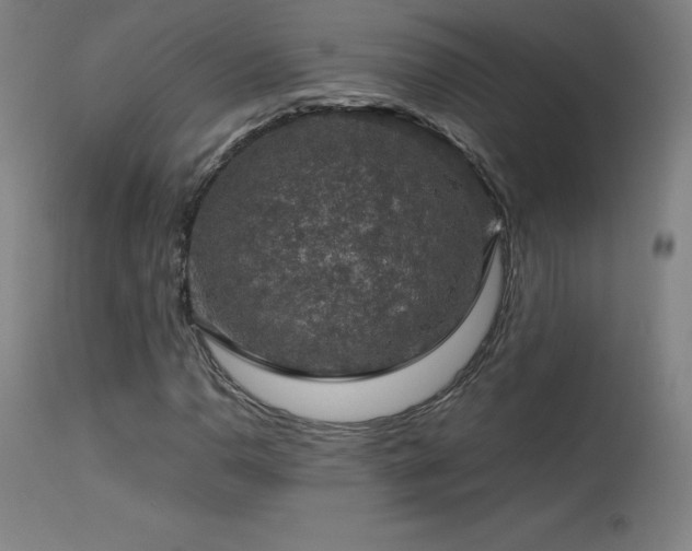 X0000114171110200910081516
