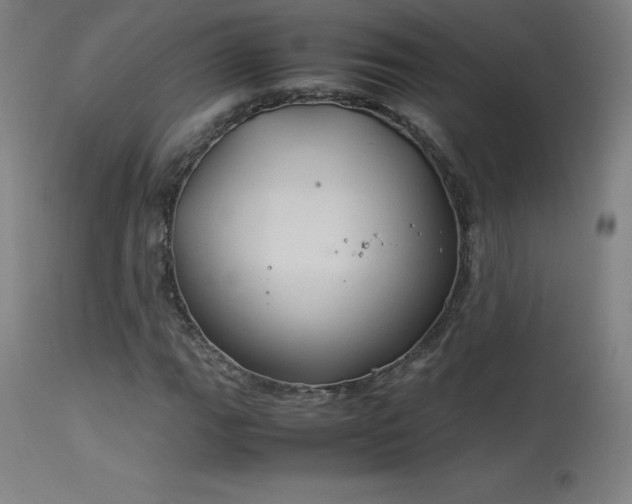 X0000114171111200910081516