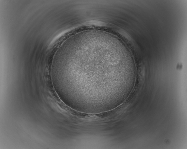 X0000114171112200910081516