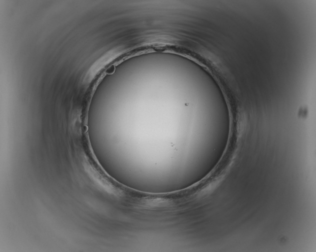 X0000114171113200910081516