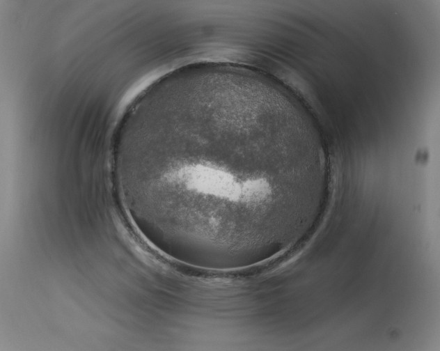 X0000114171114200910081516