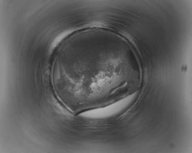 X0000114171115200910081516