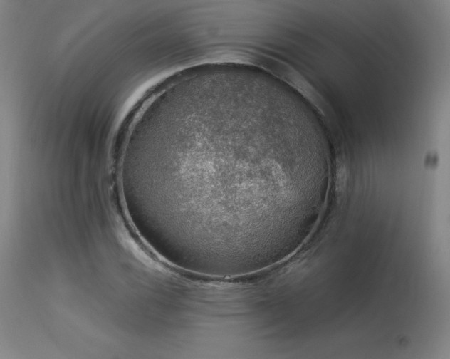 X0000114171116200910081516