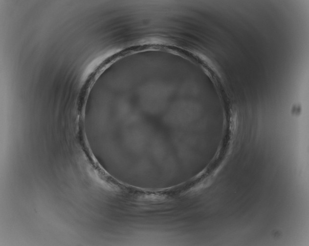 X0000114171117200910081516