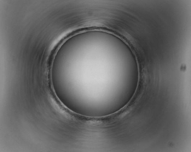 X0000114171118200910081516