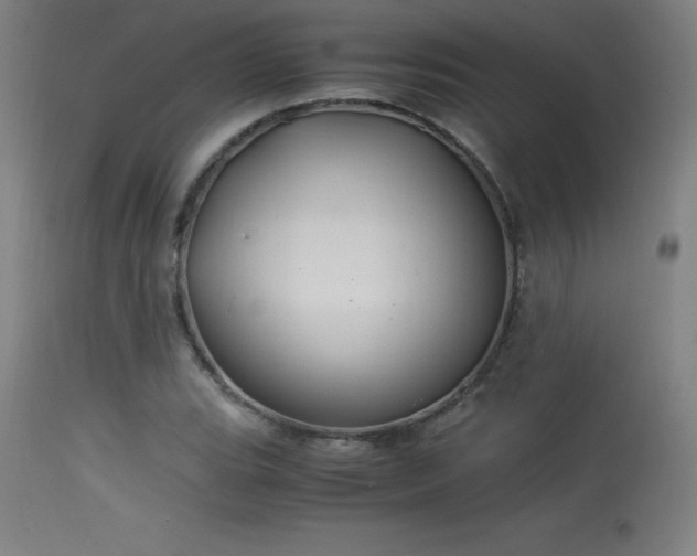 X0000114171119200910081516