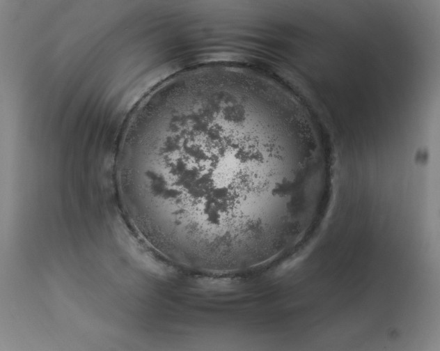 X0000114171121200910081516