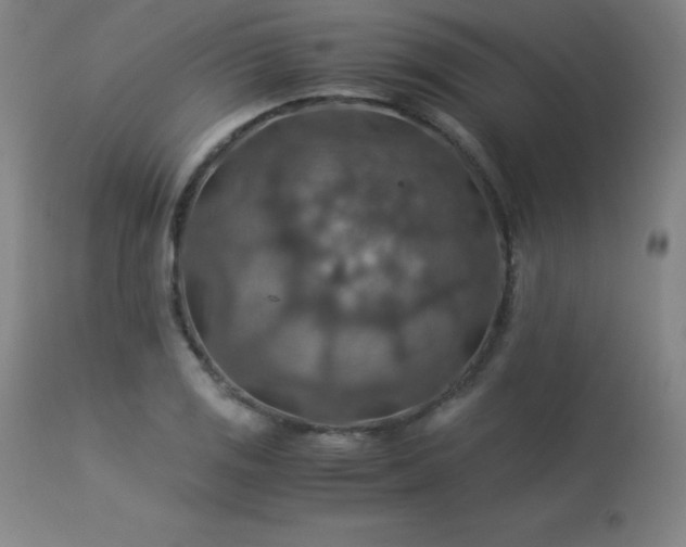 X0000114171125200910081516