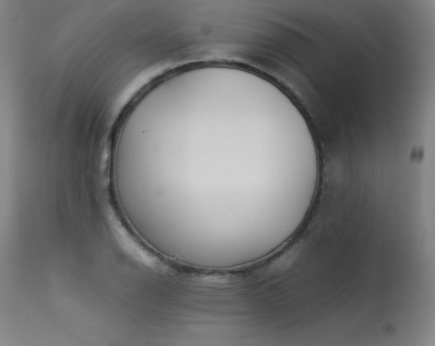 X0000114171126200910081516