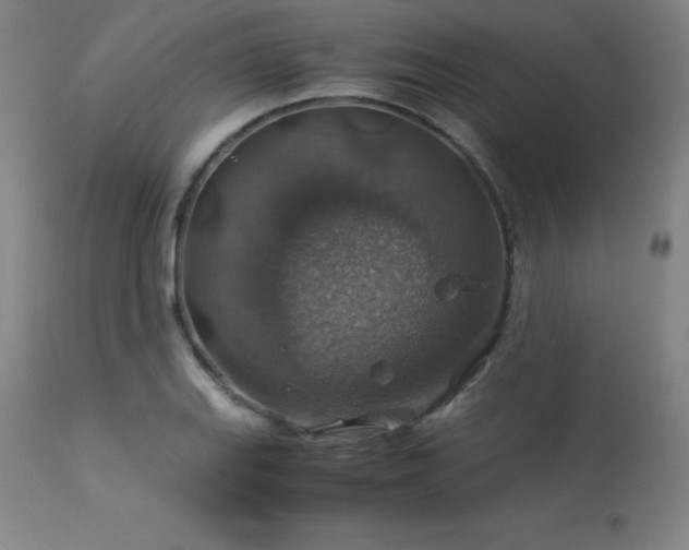 X0000114171127200910081516