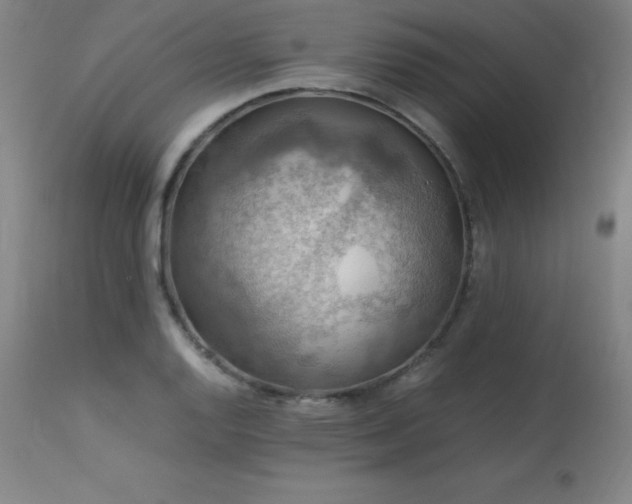 X0000114171128200910081516