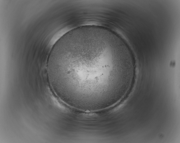 X0000114171129200910081516