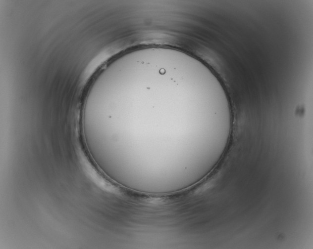 X0000114171130200910081516