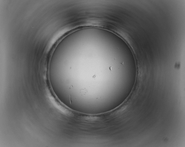 X0000114171131200910081516