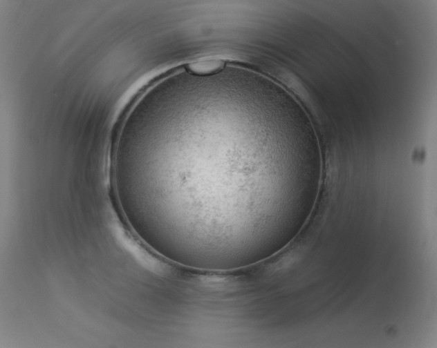 X0000114171132200910081516