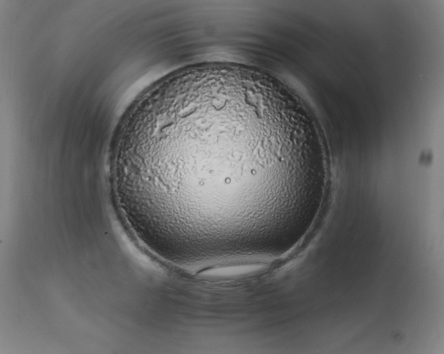 X0000114171133200910081516