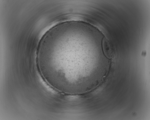 X0000114171134200910081516