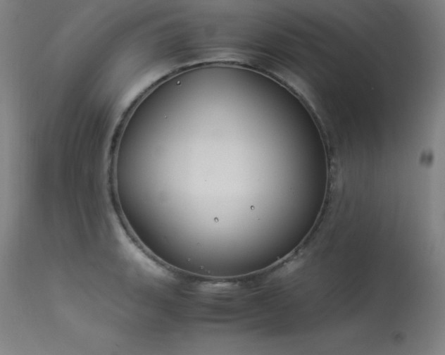 X0000114171135200910081516