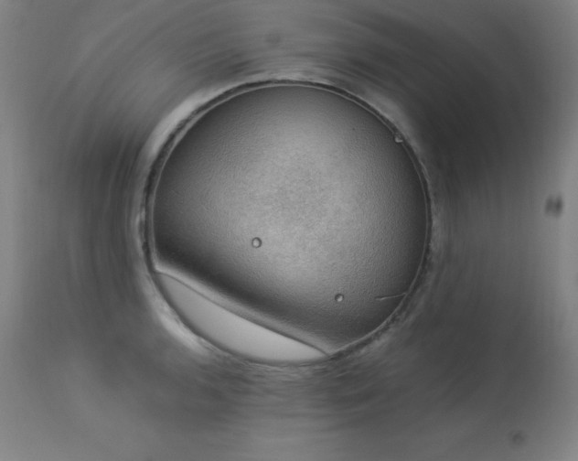 X0000114171136200910081516