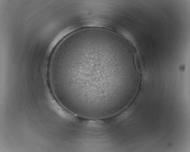 X0000114171138200910081516