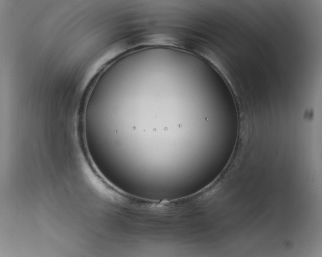 X0000114171139200910081516