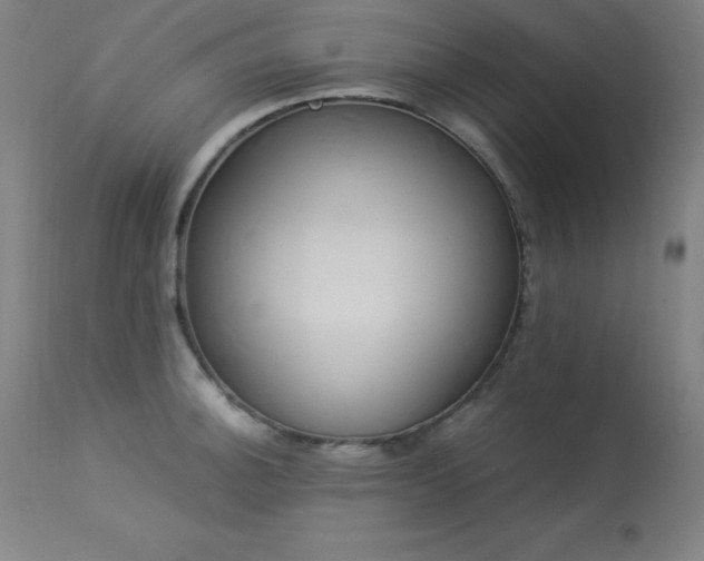 X0000114171140200910081516