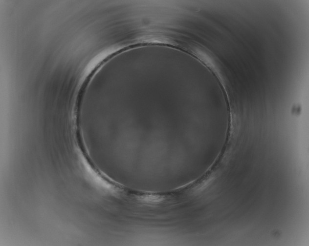 X0000114171141200910081516