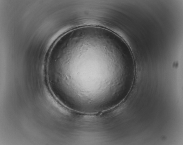 X0000114171142200910081516