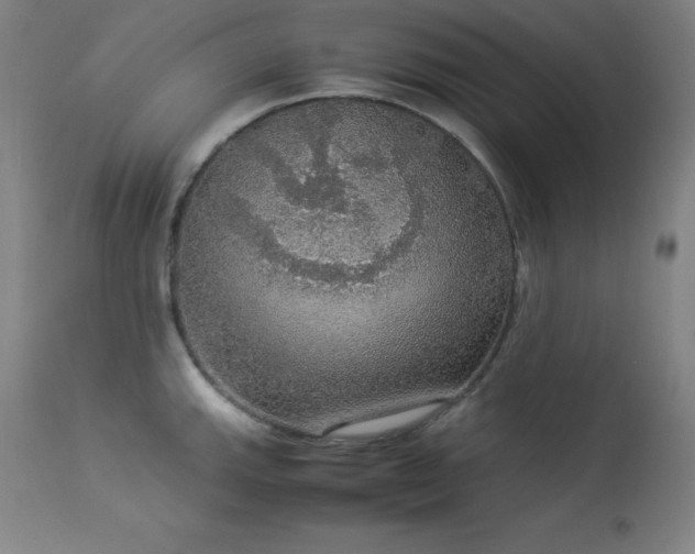 X0000114171143200910081516