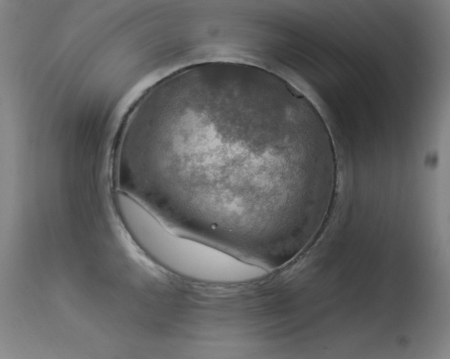 X0000114171144200910081516