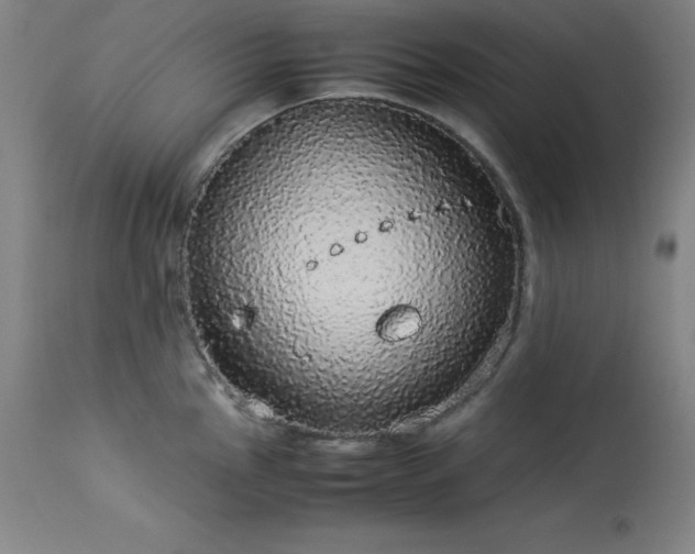 X0000114171145200910081516