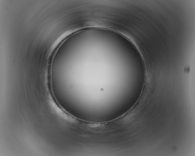 X0000114171147200910081516