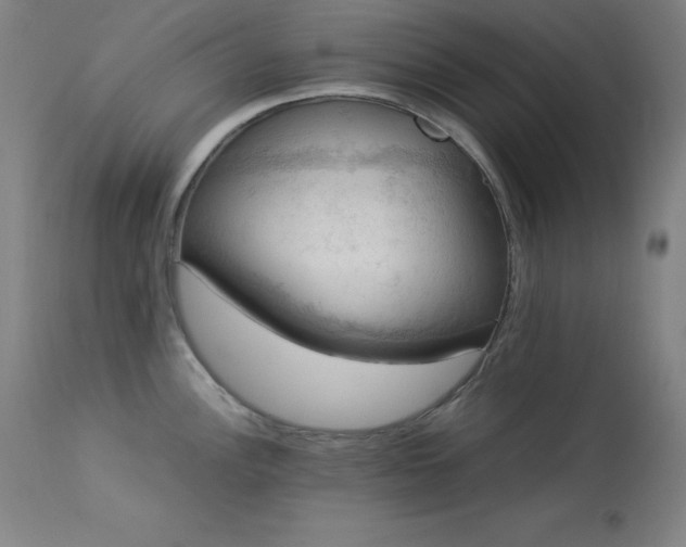 X0000114171148200910081516