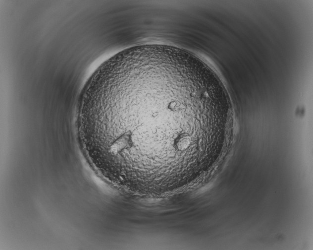 X0000114171149200910081516