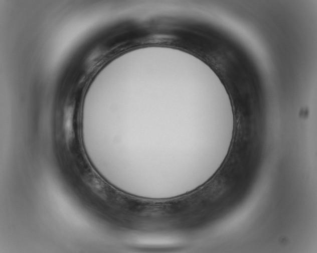 X0000114171150200910081516