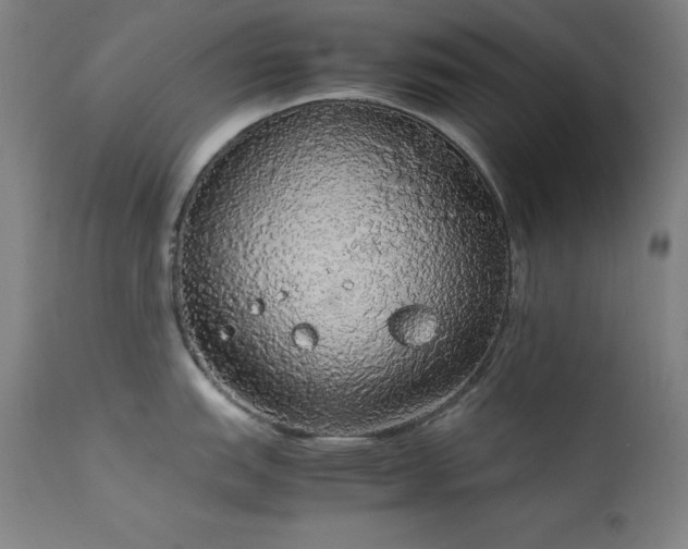 X0000114171151200910081516