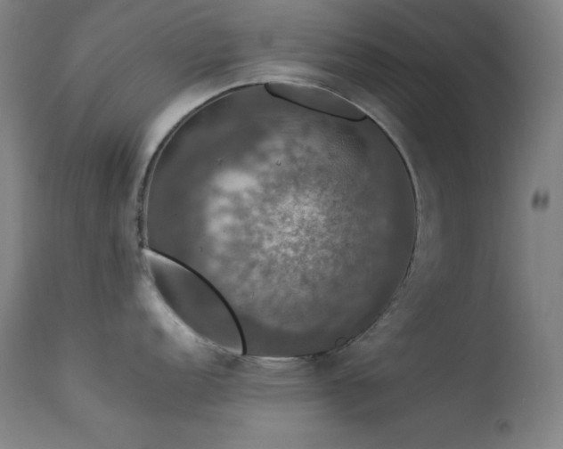 X0000114171152200910081516