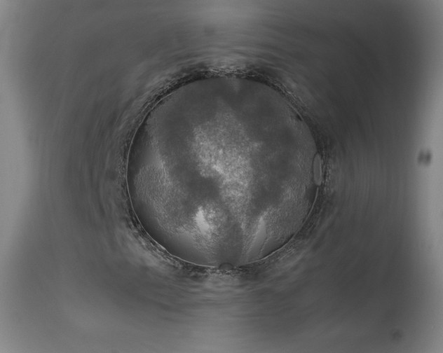 X0000114171153200910081515
