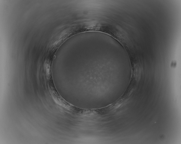 X0000114171154200910081515