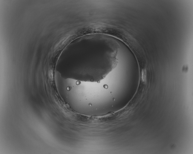 X0000114171155200910081515