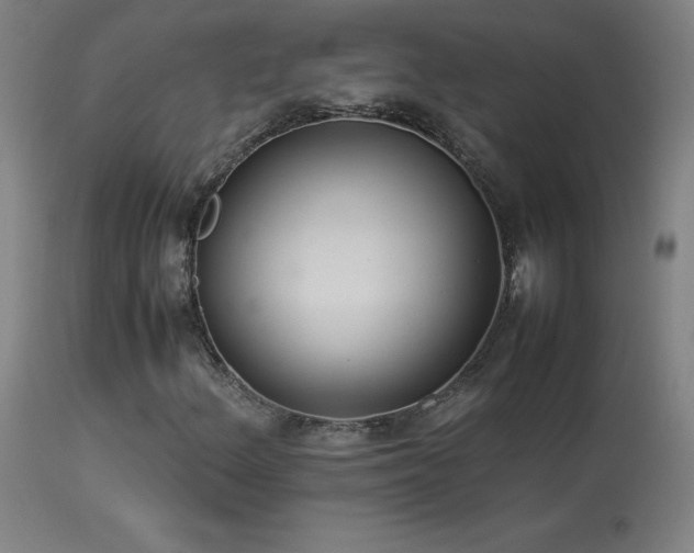 X0000114171156200910081515