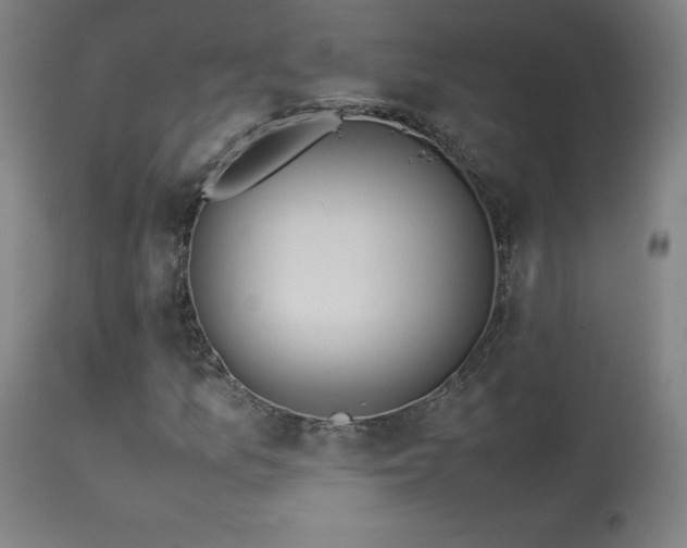 X0000114171157200910081515