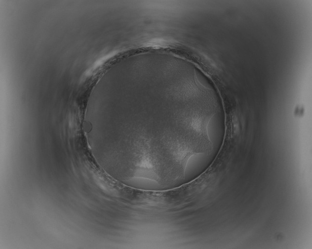 X0000114171158200910081515