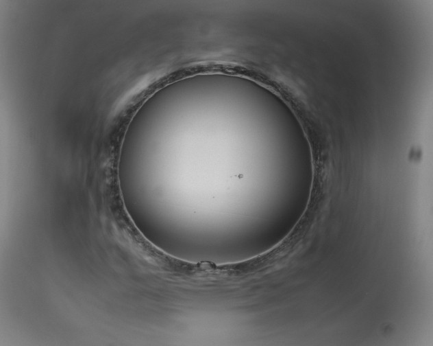 X0000114171159200910081515